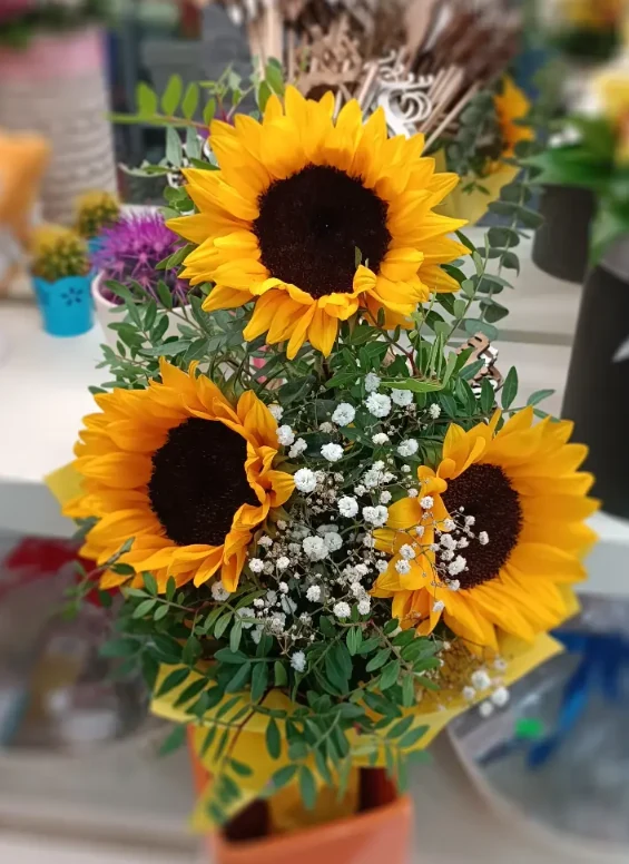 Buket suncokreta – flower box Beograd - flower box Beograd, cvećara Novi Beograd i dostava cveća Beograd Buket suncokreta – flower box Beograd - flower box Beograd, cvećara Novi Beograd i dostava cveća Beograd